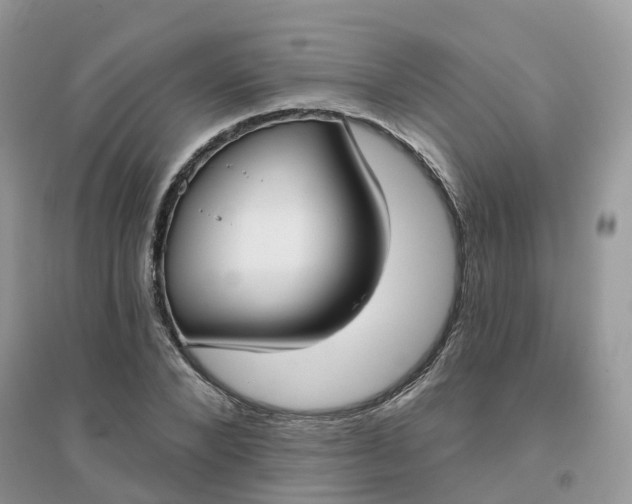 X0000096150880200802011230