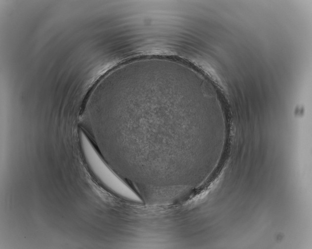 X0000096150881200802011230