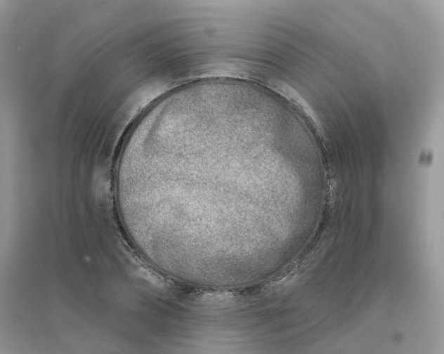 X0000096150882200802011230