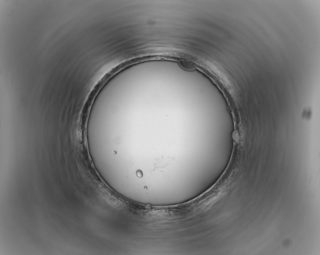 X0000096150883200802011230