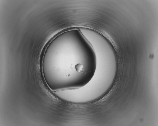 X0000096150884200802011230