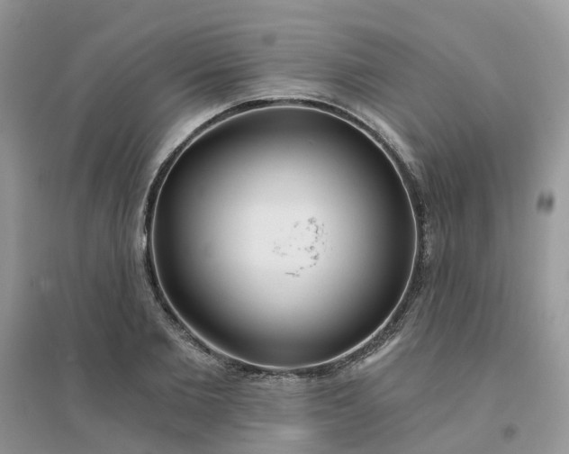 X0000096150885200802011230