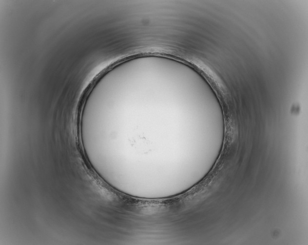 X0000096150886200802011230