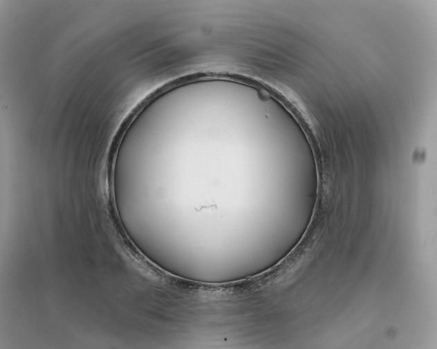 X0000096150887200802011230