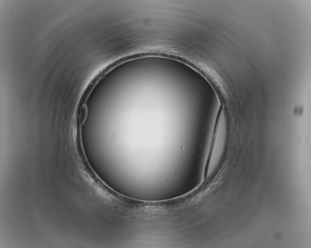 X0000096150888200802011230