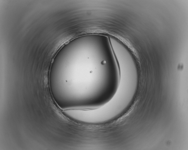 X0000096150889200802011230