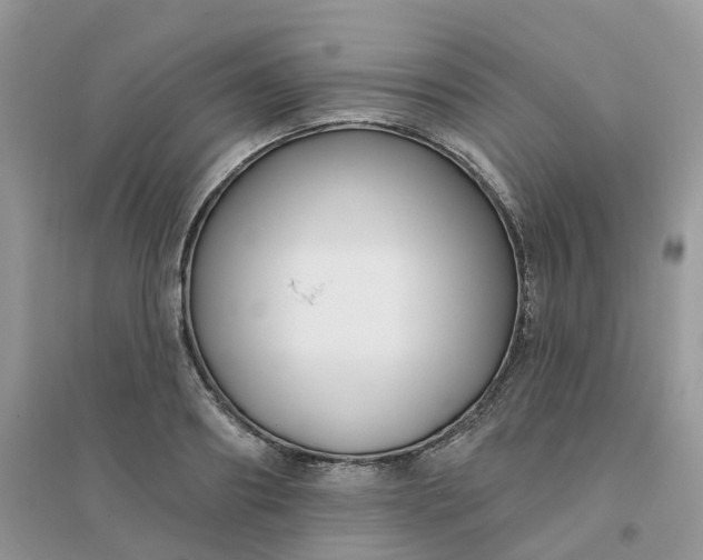 X0000096150890200802011230