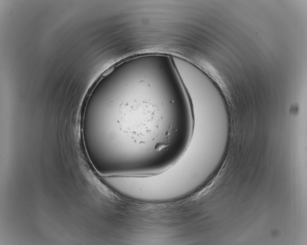 X0000096150892200802011230