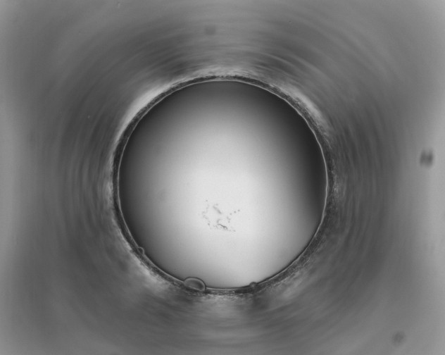 X0000096150894200802011230