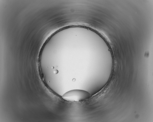 X0000096150895200802011230