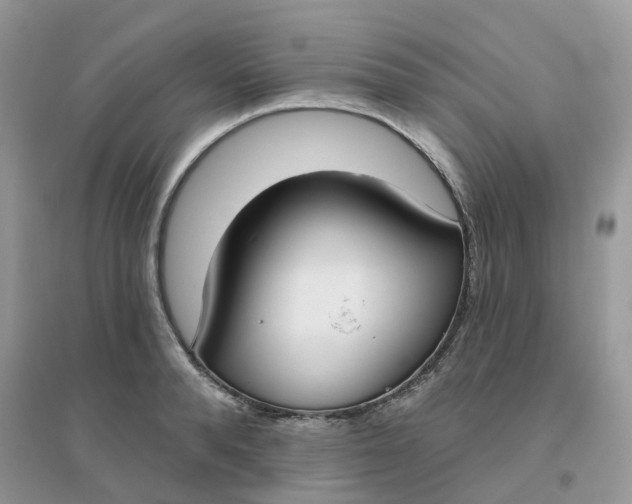 X0000096150896200802011230