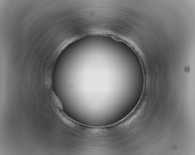 X0000096150897200802011230