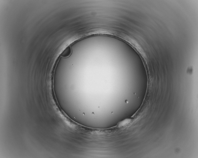 X0000096150898200802011230