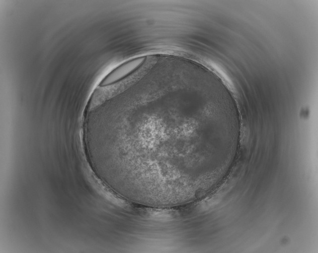X0000096150899200802011230