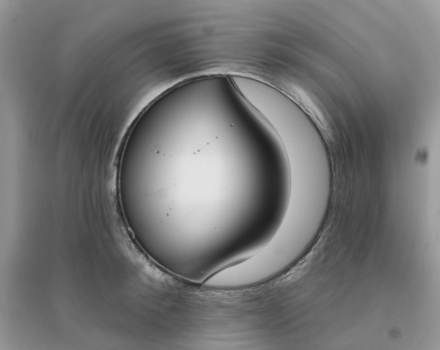 X0000096150900200802011230