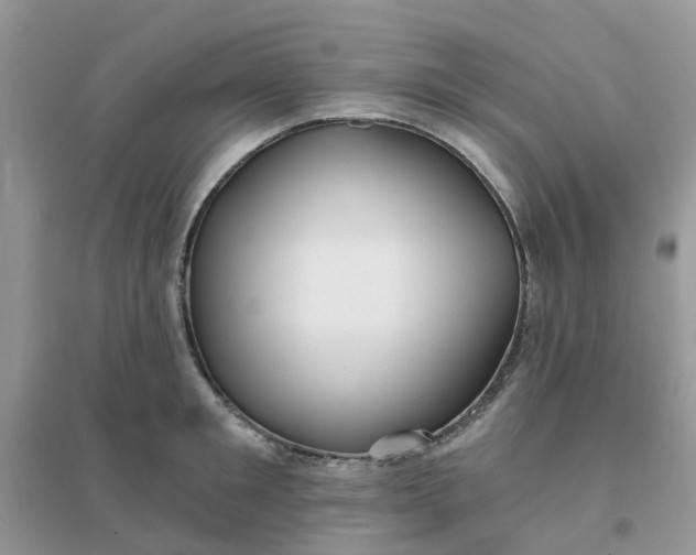 X0000096150901200802011230