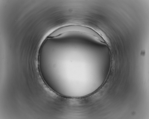 X0000096150904200802011230
