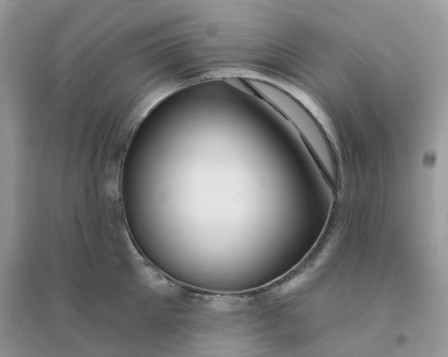 X0000096150905200802011230