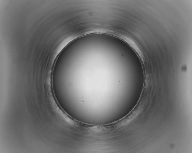 X0000096150906200802011230