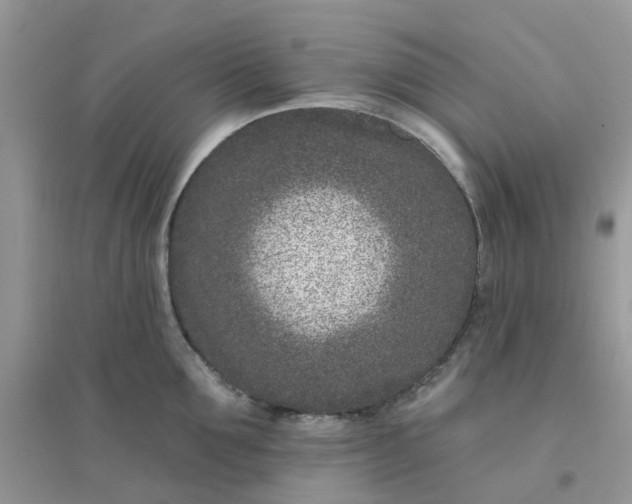 X0000096150907200802011230