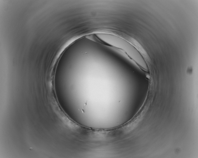 X0000096150908200802011230