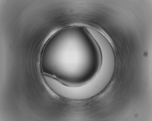 X0000096150909200802011230
