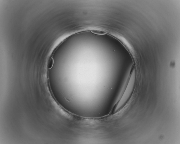 X0000096150910200802011230