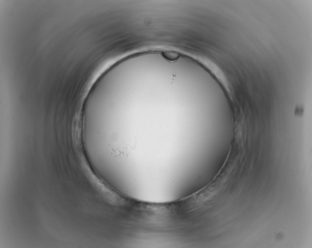 X0000096150911200802011230
