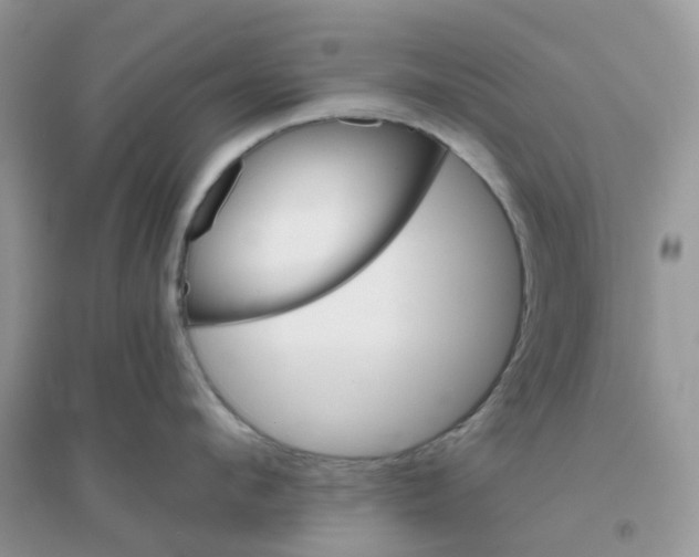 X0000096150912200802011230