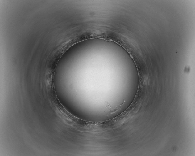 X0000096150914200802011229