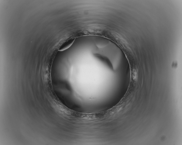 X0000096150915200802011229
