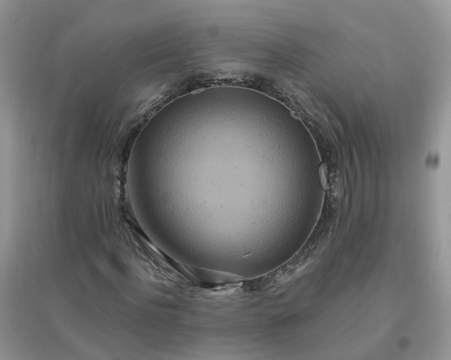 X0000096150916200802011229