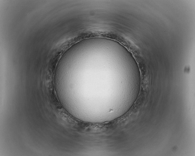 X0000096150917200802011229