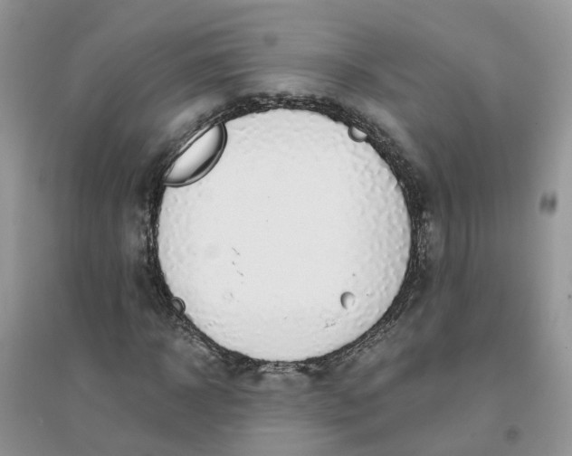 X0000096150918200802011229