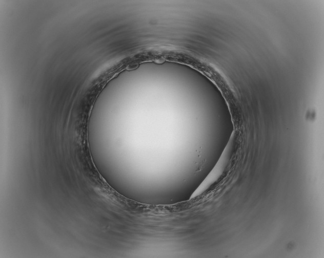 X0000096150919200802011229