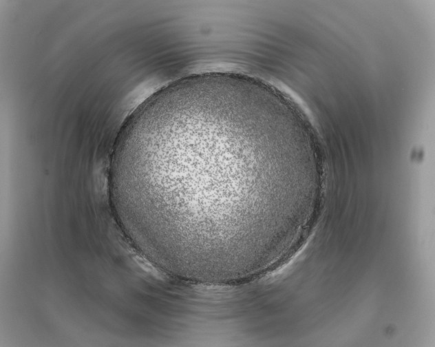 X0000096150921200802011229