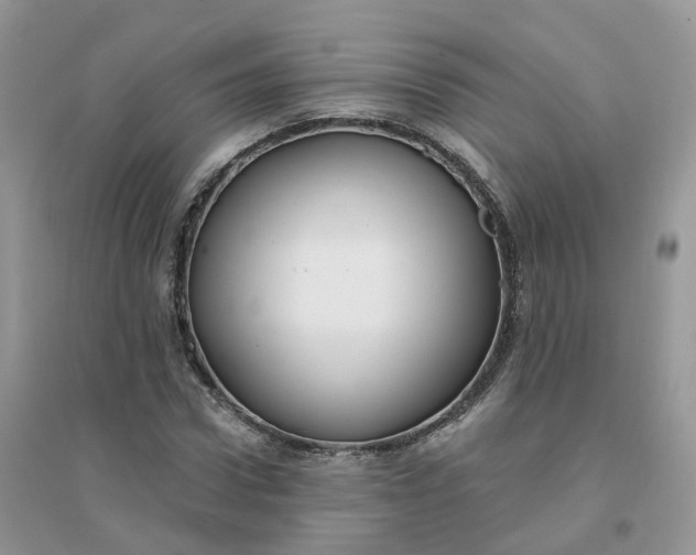 X0000096150922200802011229