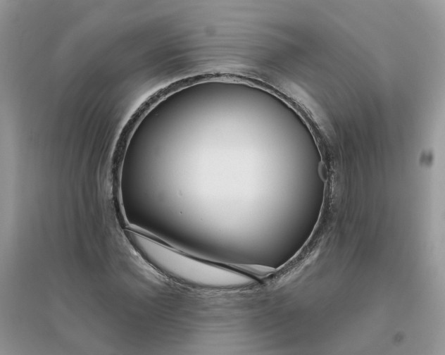 X0000096150924200802011229