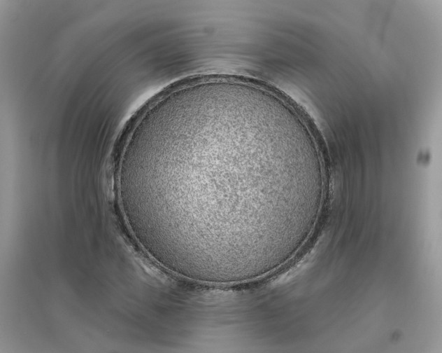 X0000096150925200802011229
