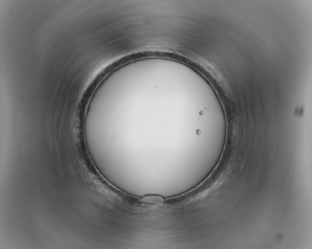 X0000096150926200802011229