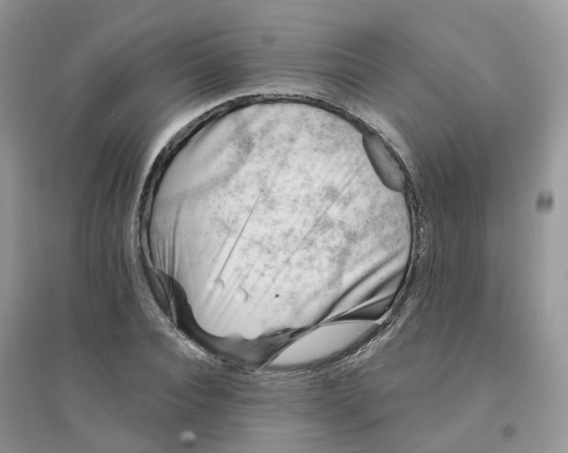X0000096150928200802011229
