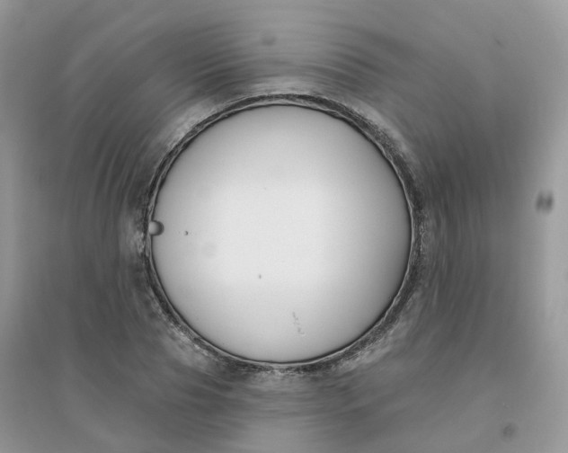X0000096150929200802011229