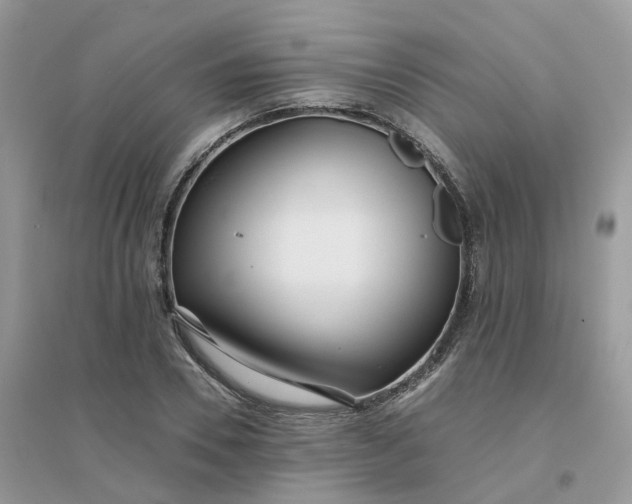 X0000096150930200802011229