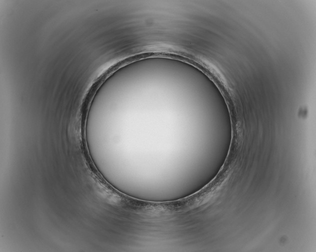 X0000096150931200802011229