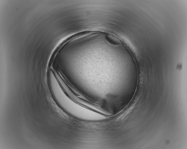 X0000096150932200802011229