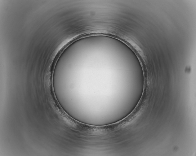 X0000096150933200802011229