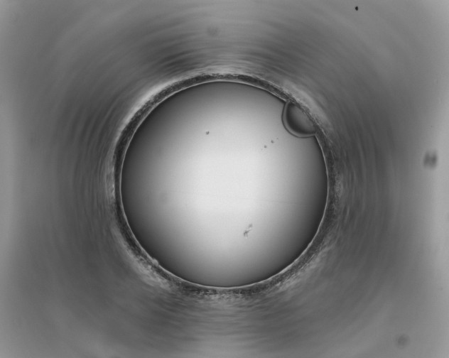 X0000096150934200802011229