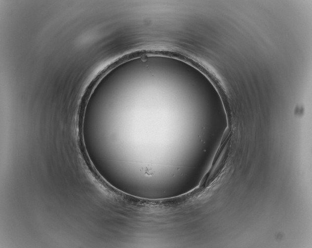 X0000096150935200802011229