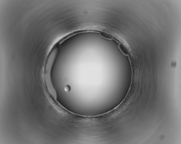 X0000096150936200802011229