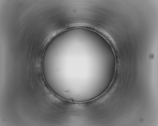 X0000096150937200802011229
